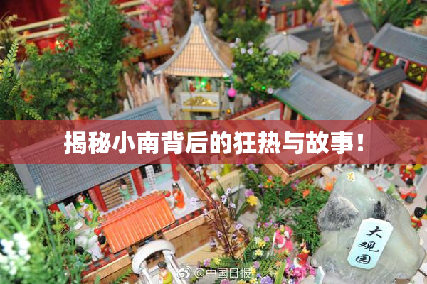 揭秘小南背后的狂热与故事！