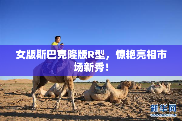 女版斯巴克隆版R型，惊艳亮相市场新秀！
