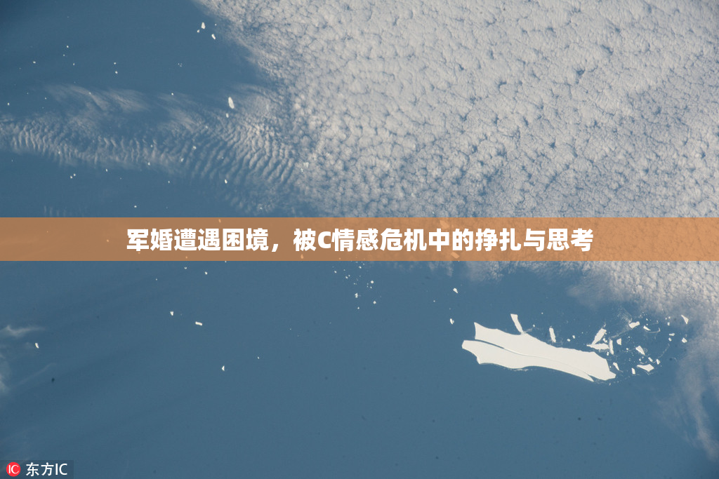 军婚遭遇困境，被C情感危机中的挣扎与思考