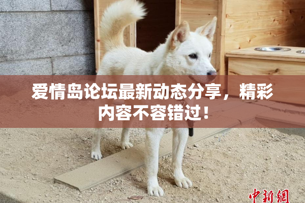 爱情岛论坛最新动态分享，精彩内容不容错过！