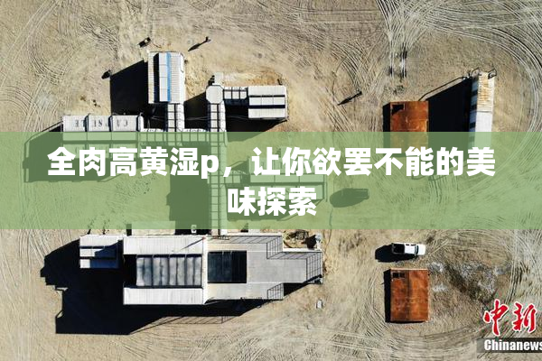 全肉高黄湿p，让你欲罢不能的美味探索