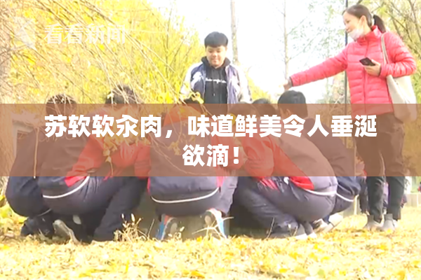 苏软软汆肉，味道鲜美令人垂涎欲滴！
