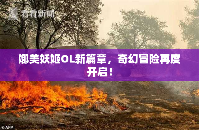 娜美妖姬OL新篇章，奇幻冒险再度开启！
