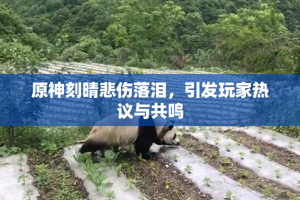 原神刻晴悲伤落泪，引发玩家热议与共鸣