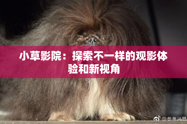 小草影院：探索不一样的观影体验和新视角