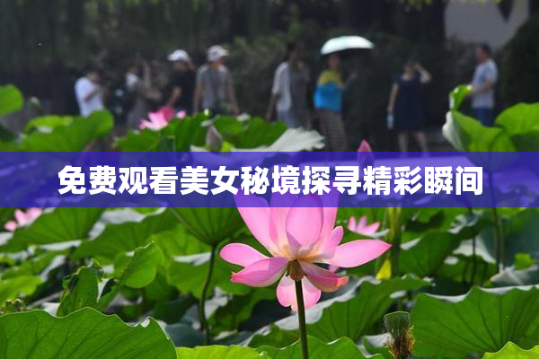 免费观看美女秘境探寻精彩瞬间
