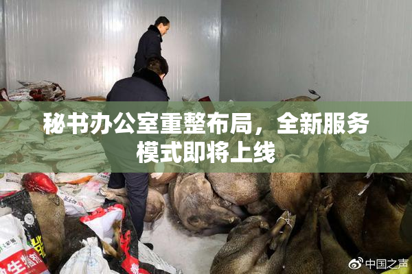 秘书办公室重整布局，全新服务模式即将上线