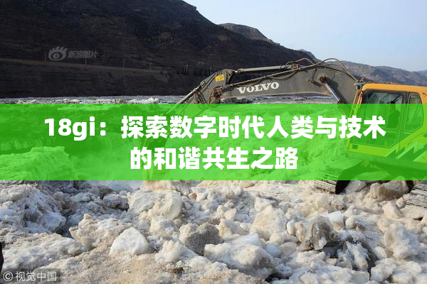 18gi：探索数字时代人类与技术的和谐共生之路