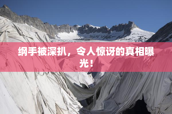 纲手被深扒，令人惊讶的真相曝光！
