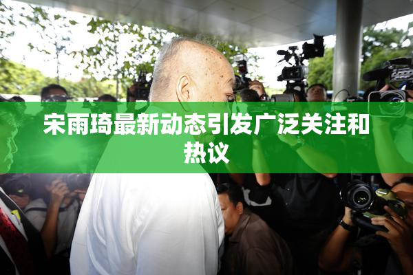 宋雨琦最新动态引发广泛关注和热议