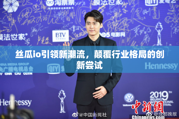 丝瓜io引领新潮流，颠覆行业格局的创新尝试
