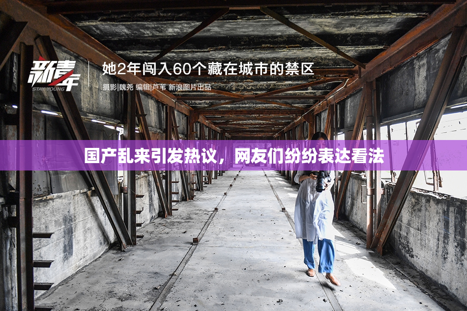 国产乱来引发热议，网友们纷纷表达看法
