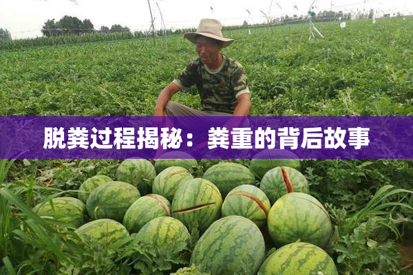 脱粪过程揭秘：粪重的背后故事