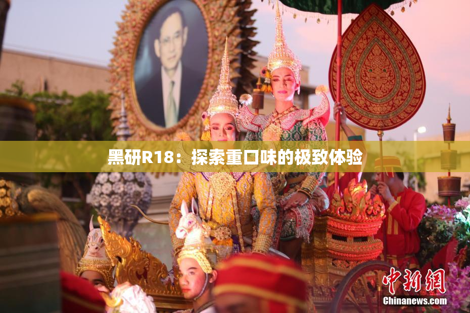 黑研R18：探索重口味的极致体验