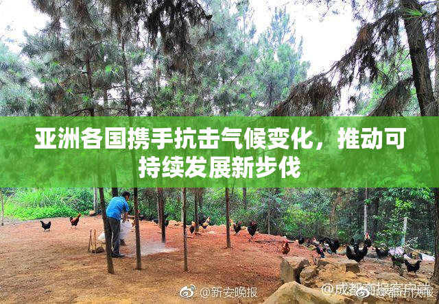 亚洲各国携手抗击气候变化，推动可持续发展新步伐
