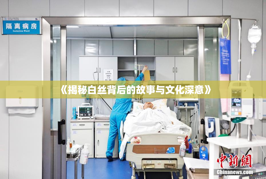 《揭秘白丝背后的故事与文化深意》