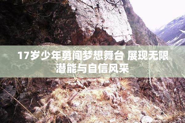 17岁少年勇闯梦想舞台 展现无限潜能与自信风采