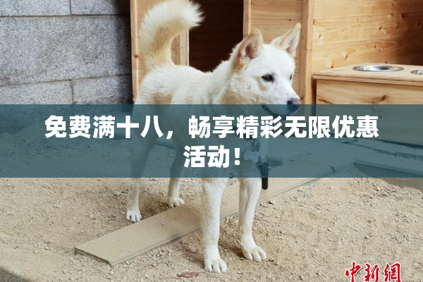 免费满十八，畅享精彩无限优惠活动！