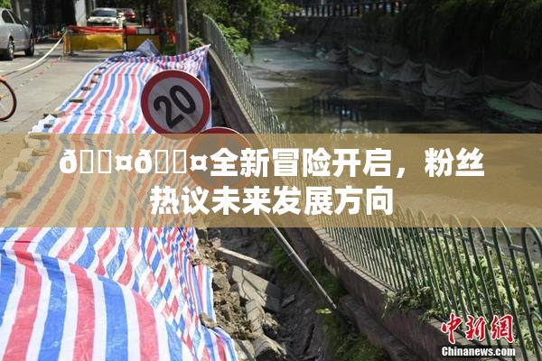 🐤🐤全新冒险开启，粉丝热议未来发展方向