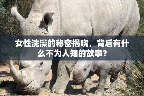 女性洗澡的秘密揭晓，背后有什么不为人知的故事？