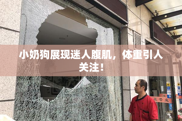 小奶狗展现迷人腹肌，体重引人关注！