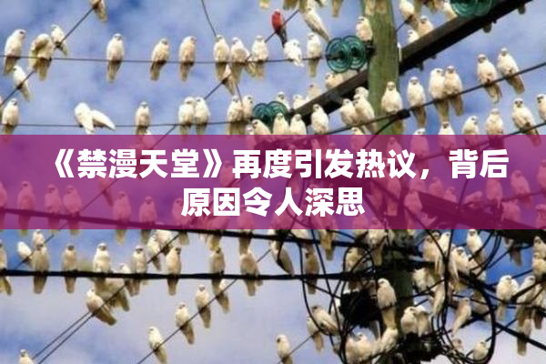 《禁漫天堂》再度引发热议，背后原因令人深思