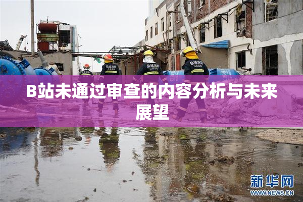 B站未通过审查的内容分析与未来展望