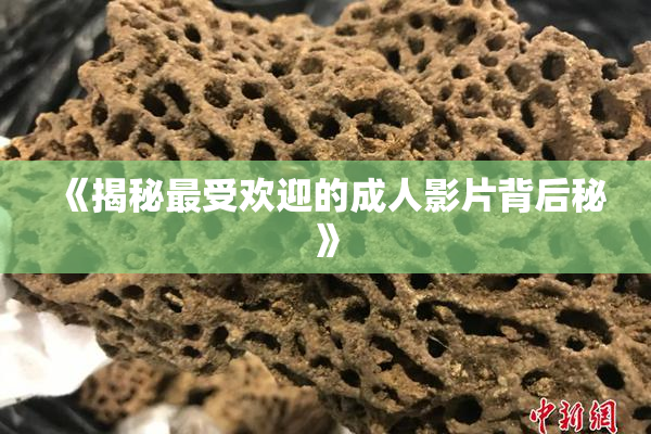 《揭秘最受欢迎的成人影片背后秘》