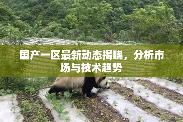 国产一区最新动态揭晓，分析市场与技术趋势