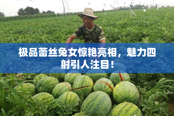 极品蕾丝兔女惊艳亮相，魅力四射引人注目！