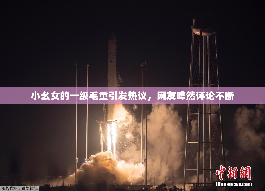 小幺女的一级毛重引发热议，网友哗然评论不断