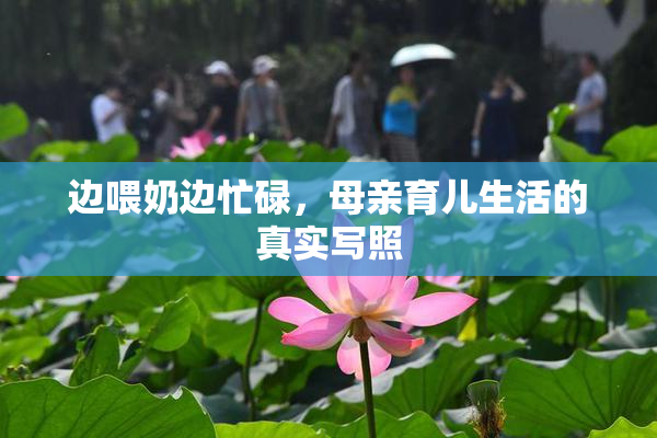 边喂奶边忙碌，母亲育儿生活的真实写照