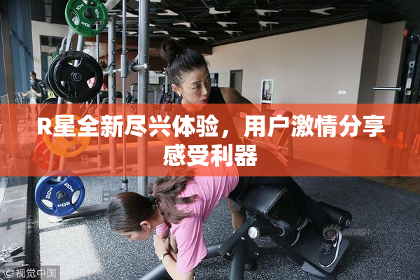 R星全新尽兴体验，用户激情分享感受利器