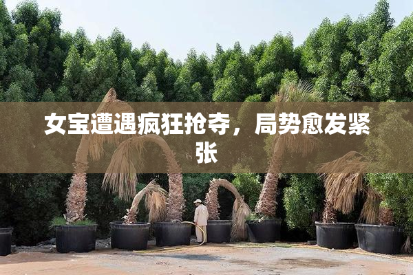 女宝遭遇疯狂抢夺，局势愈发紧张
