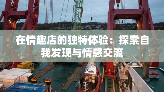 在情趣店的独特体验：探索自我发现与情感交流