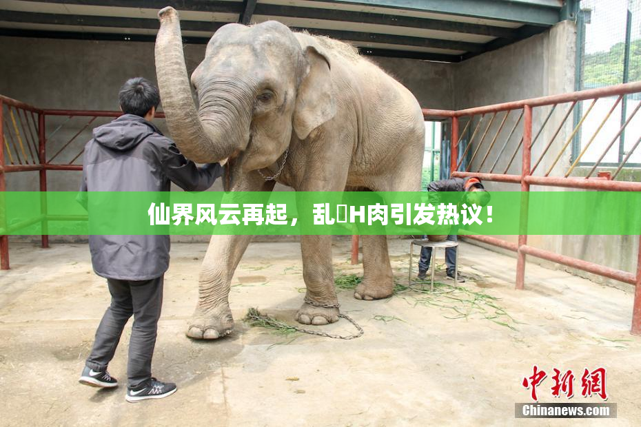 仙界风云再起，乱婬H肉引发热议！