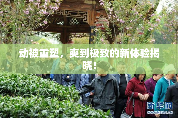 动被重塑，爽到极致的新体验揭晓！