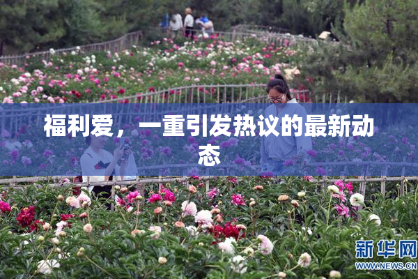 福利爱，一重引发热议的最新动态