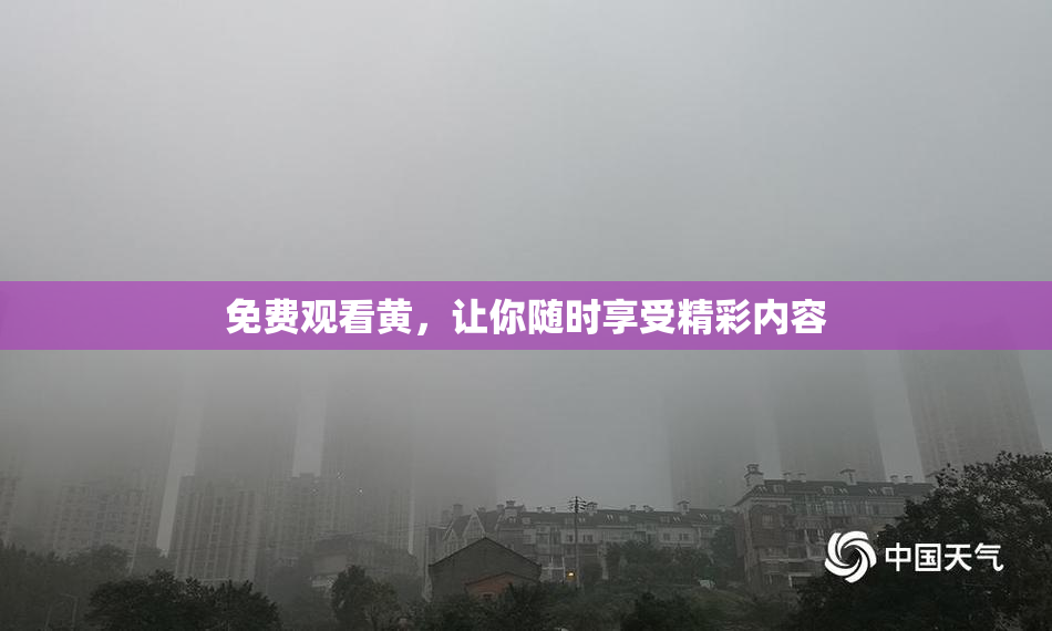 免费观看黄，让你随时享受精彩内容