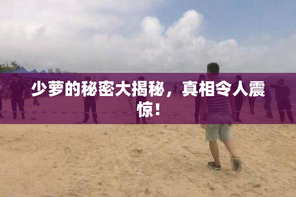 少萝的秘密大揭秘，真相令人震惊！