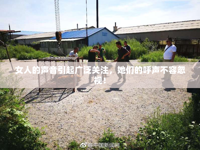 女人的声音引起广泛关注，她们的呼声不容忽视！