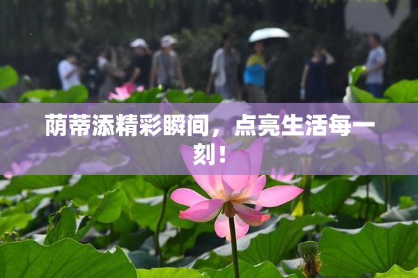 荫蒂添精彩瞬间，点亮生活每一刻！