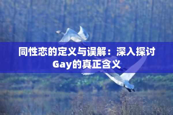 同性恋的定义与误解：深入探讨Gay的真正含义