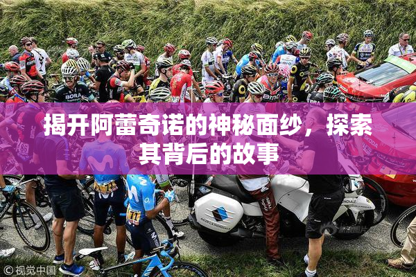 揭开阿蕾奇诺的神秘面纱，探索其背后的故事