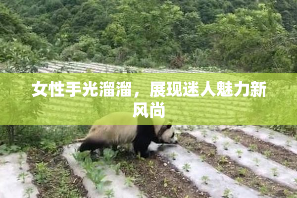 女性手光溜溜，展现迷人魅力新风尚