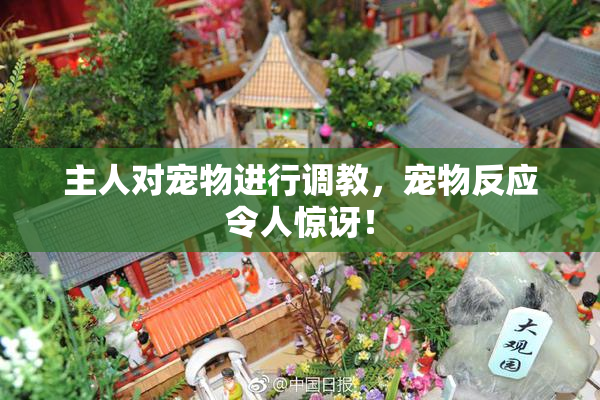 主人对宠物进行调教，宠物反应令人惊讶！