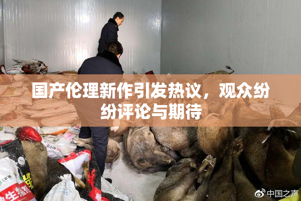 国产伦理新作引发热议，观众纷纷评论与期待