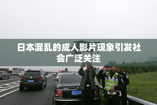 日本混乱的成人影片现象引发社会广泛关注