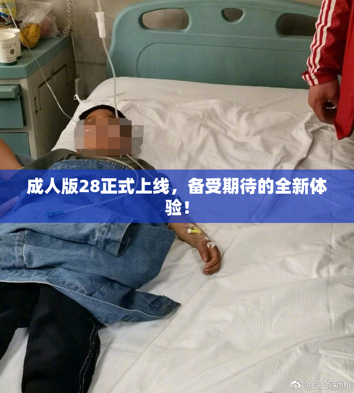 成人版28正式上线，备受期待的全新体验！