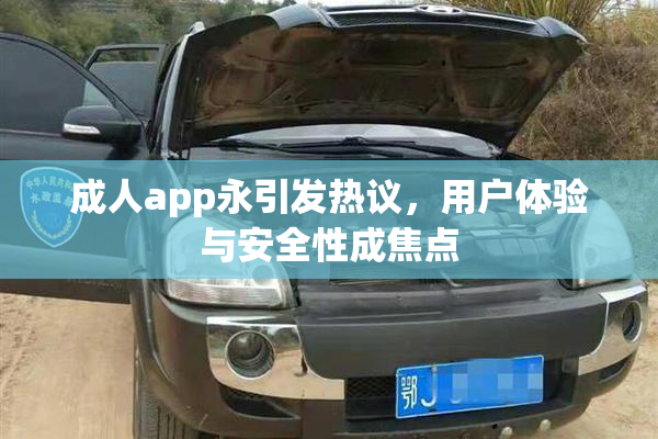 成人app永引发热议，用户体验与安全性成焦点